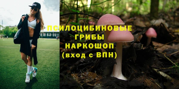 каннабис Магас